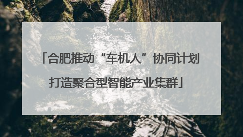 合肥推动“车机人”协同计划 打造聚合型智能产业集群