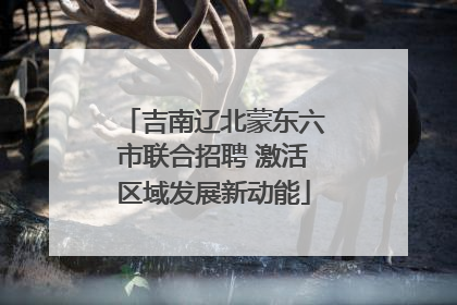吉南辽北蒙东六市联合招聘 激活区域发展新动能