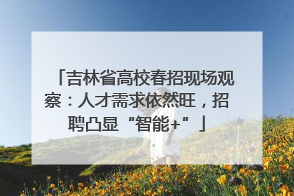吉林省高校春招现场观察：人才需求依然旺，招聘凸显“智能+”