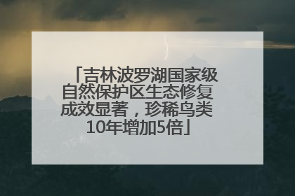 吉林波罗湖国家级自然保护区生态修复成效显著，珍稀鸟类10年增加5倍