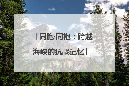 同胞·同袍：跨越海峡的抗战记忆