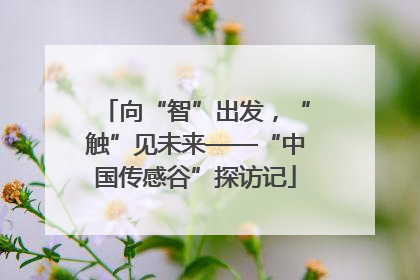 向“智”出发，“触”见未来——“中国传感谷”探访记