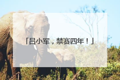 吕小军，禁赛四年！