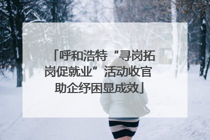 呼和浩特“寻岗拓岗促就业”活动收官 助企纾困显成效