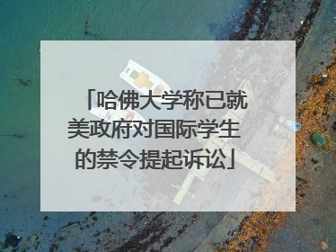 哈佛大学称已就美政府对国际学生的禁令提起诉讼