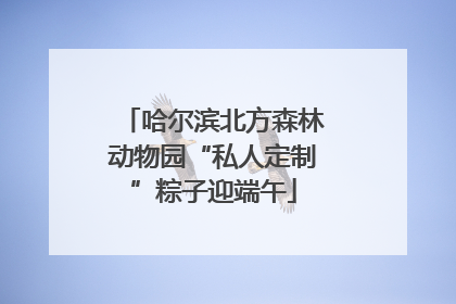 哈尔滨北方森林动物园“私人定制”粽子迎端午
