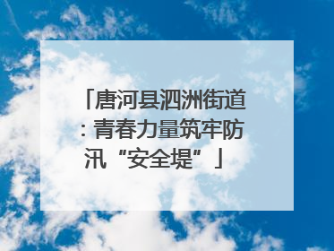 唐河县泗洲街道：青春力量筑牢防汛“安全堤”