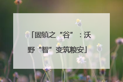固镇之“谷”：沃野“智”变筑粮安