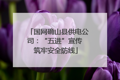 国网确山县供电公司：“五进”宣传 筑牢安全防线