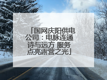 国网庆阳供电公司：电脉连通诗与远方 服务点亮露营之光