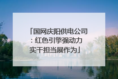国网庆阳供电公司：红色引擎强动力 实干担当展作为