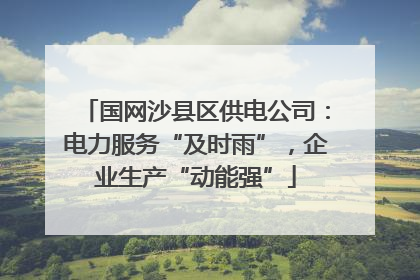 国网沙县区供电公司：电力服务“及时雨”，企业生产“动能强”