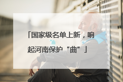 国家级名单上新，响起河南保护“曲”