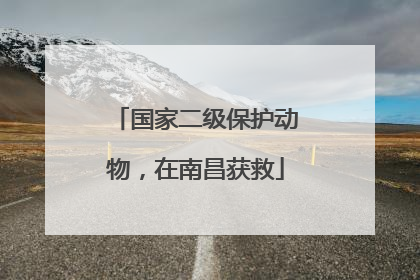 国家二级保护动物，在南昌获救