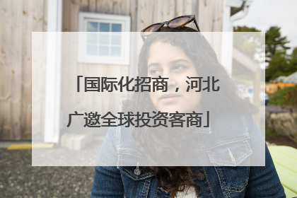 国际化招商，河北广邀全球投资客商