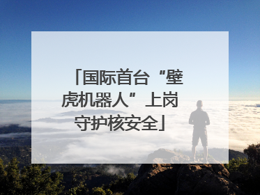 国际首台“壁虎机器人”上岗守护核安全