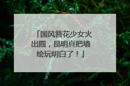 国风簪花少女火出圈，昆明真把墙绘玩明白了！