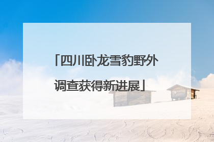 四川卧龙雪豹野外调查获得新进展