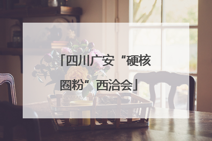 四川广安“硬核圈粉”西洽会