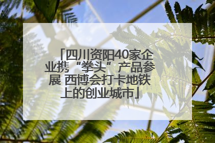 四川资阳40家企业携“拳头”产品参展 西博会打卡地铁上的创业城市