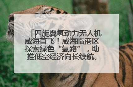 四旋翼氢动力无人机威海首飞！威海临港区探索绿色“氢路”，助推低空经济向长续航、大载重“进化”