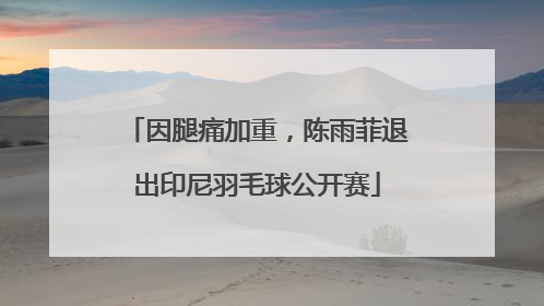 因腿痛加重，陈雨菲退出印尼羽毛球公开赛