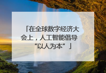 在全球数字经济大会上，人工智能倡导“以人为本”