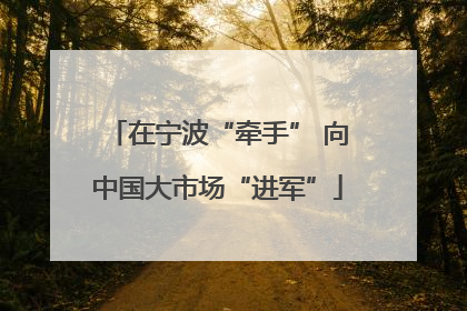 在宁波“牵手” 向中国大市场“进军”
