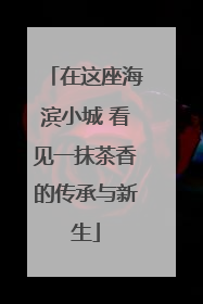 在这座海滨小城 看见一抹茶香的传承与新生