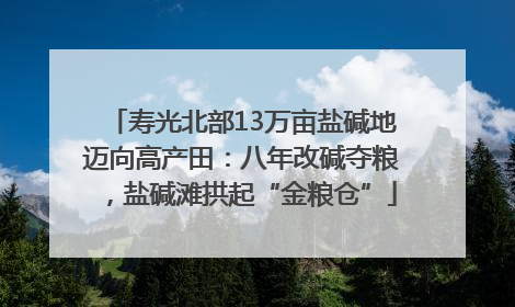 寿光北部13万亩盐碱地迈向高产田：八年改碱夺粮，盐碱滩拱起“金粮仓”