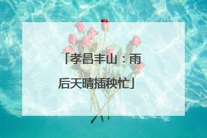 孝昌丰山：雨后天晴插秧忙