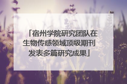 宿州学院研究团队在生物传感领域顶级期刊发表多篇研究成果