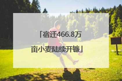 宿迁466.8万亩小麦陆续开镰