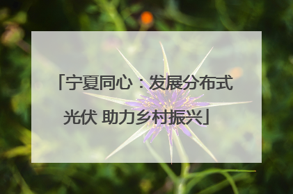 宁夏同心：发展分布式光伏 助力乡村振兴