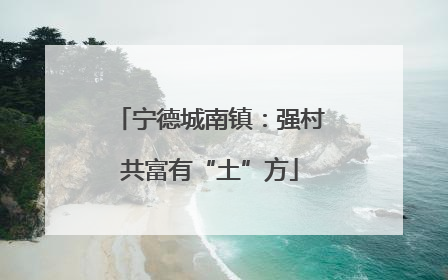 宁德城南镇：强村共富有“土”方