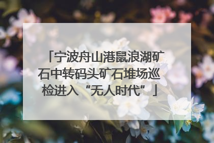 宁波舟山港鼠浪湖矿石中转码头矿石堆场巡检进入“无人时代”