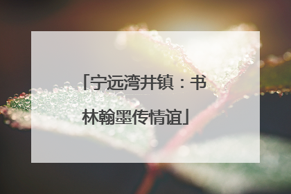 宁远湾井镇：书林翰墨传情谊