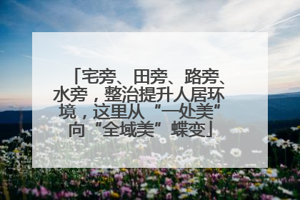 宅旁、田旁、路旁、水旁，整治提升人居环境，这里从“一处美”向“全域美”蝶变