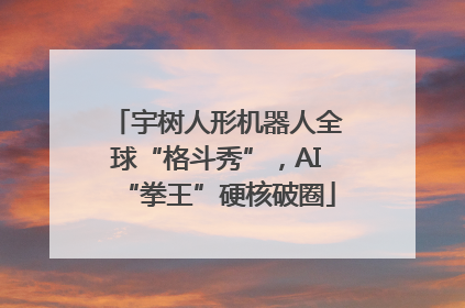 宇树人形机器人全球“格斗秀”，AI“拳王”硬核破圈