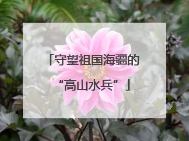 守望祖国海疆的“高山水兵”