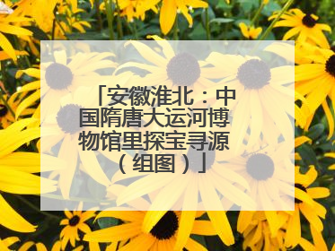 安徽淮北：中国隋唐大运河博物馆里探宝寻源（组图）