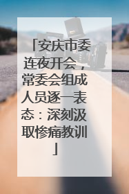 安庆市委连夜开会，常委会组成人员逐一表态：深刻汲取惨痛教训
