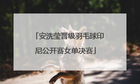安洗莹晋级羽毛球印尼公开赛女单决赛