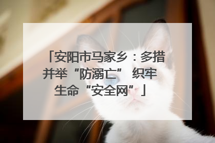 安阳市马家乡：多措并举“防溺亡” 织牢生命“安全网”