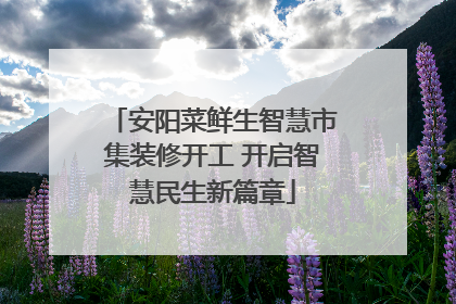安阳菜鲜生智慧市集装修开工 开启智慧民生新篇章