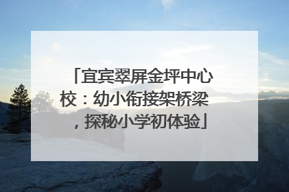 宜宾翠屏金坪中心校：幼小衔接架桥梁，探秘小学初体验