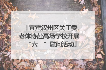 宜宾叙州区关工委、老体协赴高场学校开展“六一”慰问活动