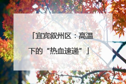 宜宾叙州区：高温下的“热血速递”