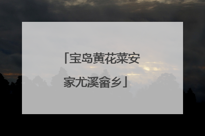 宝岛黄花菜安家尤溪畲乡