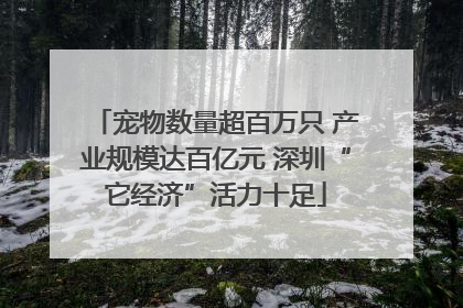 宠物数量超百万只 产业规模达百亿元 深圳“它经济”活力十足